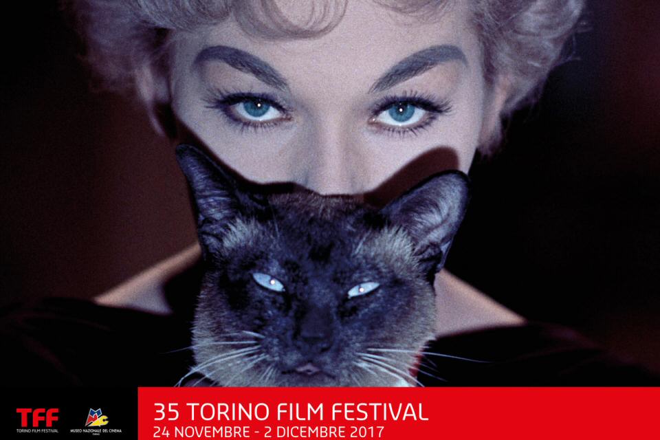Torino Film Festival 2017: nel manifesto Kim Novak ed il suo gatto