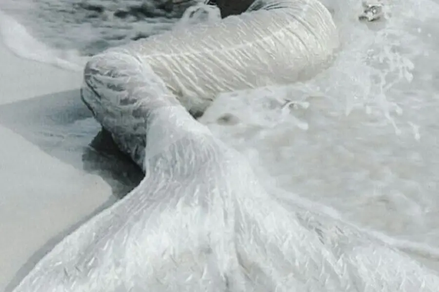 Documentario sulle sirene: Il mistero svelato