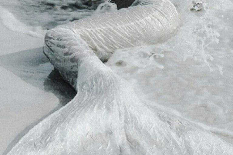 Documentario sulle sirene: Il mistero svelato