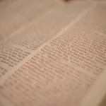 Le affinità elettive: frasi e citazioni