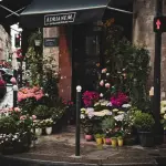 Avviare un’attività: ecco come rendere il tuo nuovo negozio accogliente ed elegante