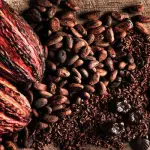 Cioccolato crudo: l'eccezione alla regola per cui tutto quello che è buono fa male