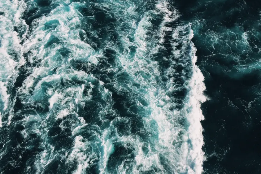 20000 leghe sotto i mari: girare il mondo attraverso le pagine di un libro