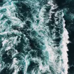 20000 leghe sotto i mari: girare il mondo attraverso le pagine di un libro