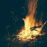 Lo strano caso di una casa editrice che brucia i libri nelle notti di luna piena