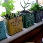 Le proprietà delle erbe aromatiche: la salute nel vaso del tuo balcone