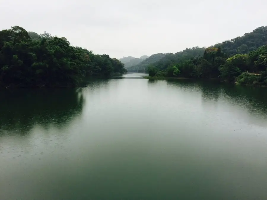 Panta rei: significato della frase greca più famosa della storia