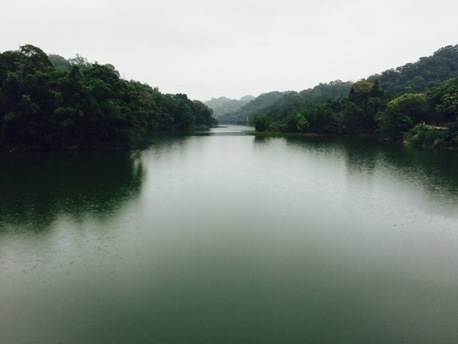 Panta rei: significato della frase greca più famosa della storia