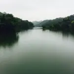 Panta rei: significato della frase greca più famosa della storia