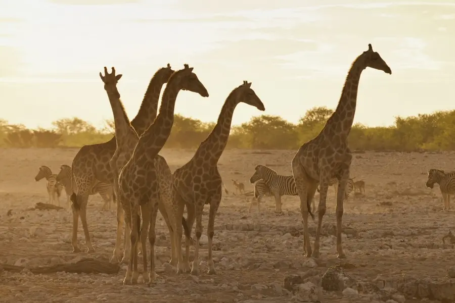 Mutamenti climatici: le immagini di come è cambiata la Terra
