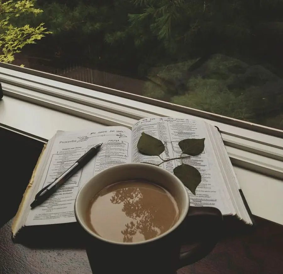 I 15 migliori libri in uscita a novembre