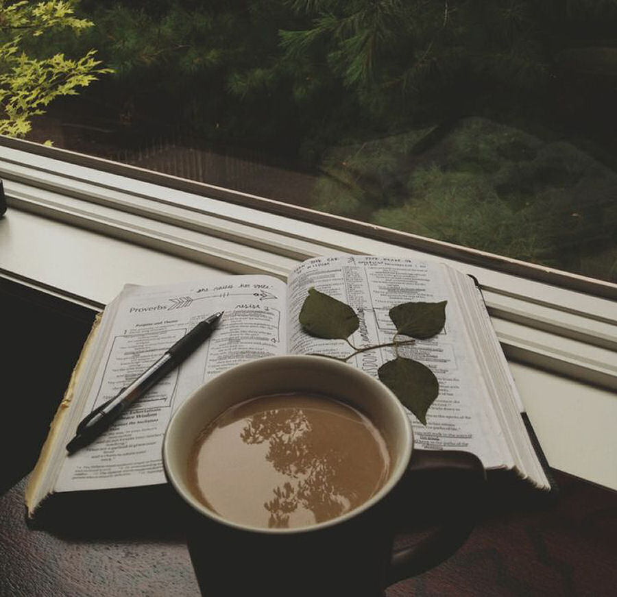 I 15 migliori libri in uscita a novembre