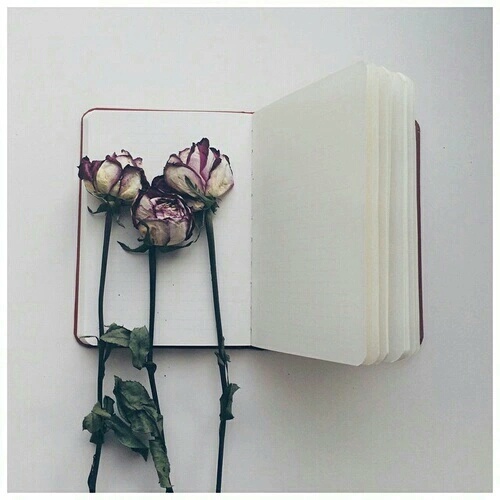 Frasi di libri: le citazioni più belle