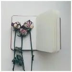 Frasi di libri: le citazioni più belle