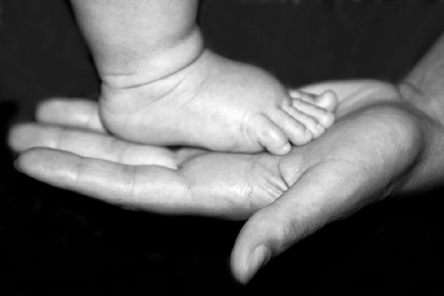 Padri e figli: i più bei libri su un amore lungo una vita