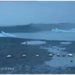 Sigur Rós Route One: storia di un solstizio d'estate speciale