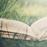 Libri che profumano d'estate