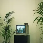 E se il cinema fosse destinato a morire?