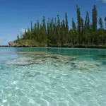 L'Isola dei (film) famosi