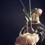 Ambra, profumo afrodisiaco naturale