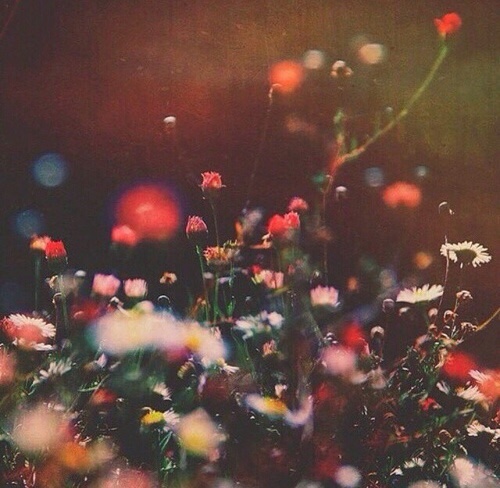 Il giardino dell'Eden esiste