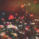 Il giardino dell'Eden esiste