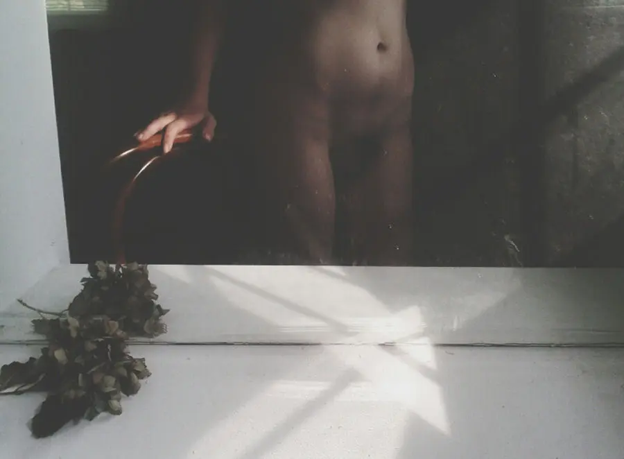 L'erba infestante che cura la cistite