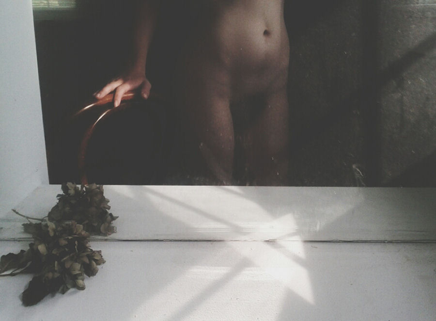 L'erba infestante che cura la cistite