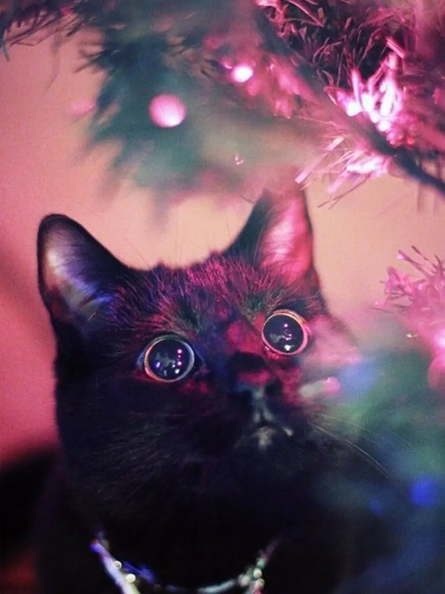 Musica di Natale: la playlist alternativa