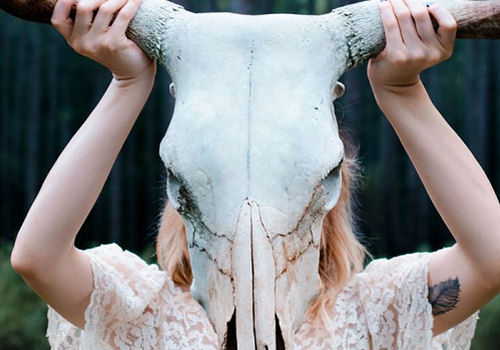 Recensioni fasulle su Amazon: come riconoscerle. Il caso Franco Forte