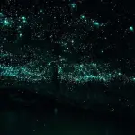 L'Amore in una busta di stelle