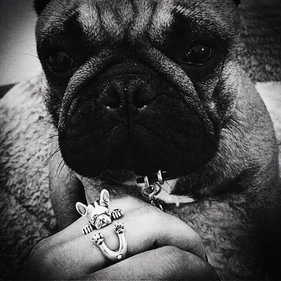 Anelli a forma di cane: Dog Fever e gli Hug Rings