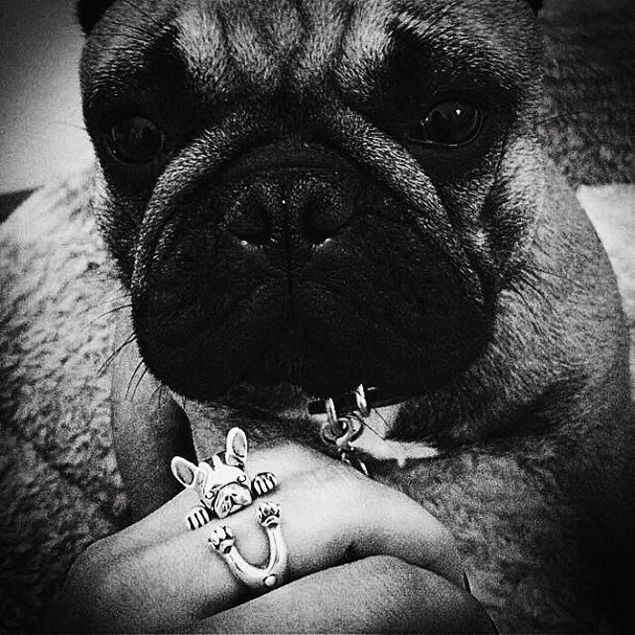 Anelli a forma di cane: Dog Fever e gli Hug Rings