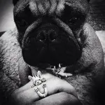 Anelli a forma di cane: Dog Fever e gli Hug Rings