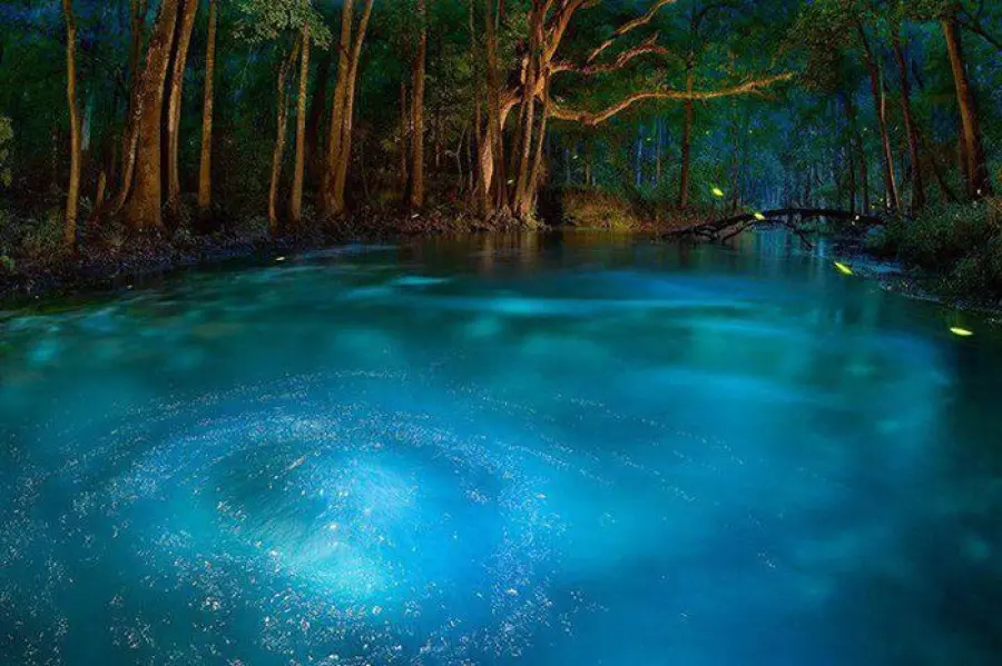 Foto del giorno: le meraviglie della Florida. Ichetucknee Springs