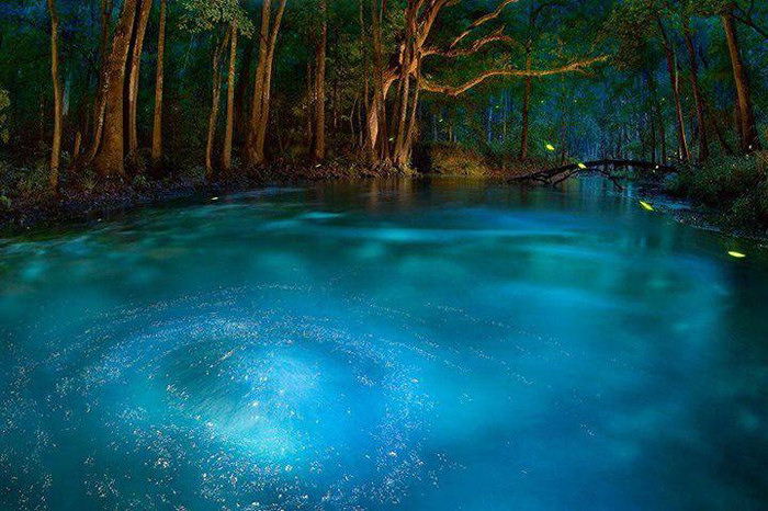 Foto del giorno: le meraviglie della Florida. Ichetucknee Springs