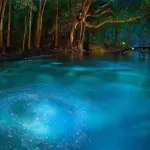 Foto del giorno: le meraviglie della Florida. Ichetucknee Springs