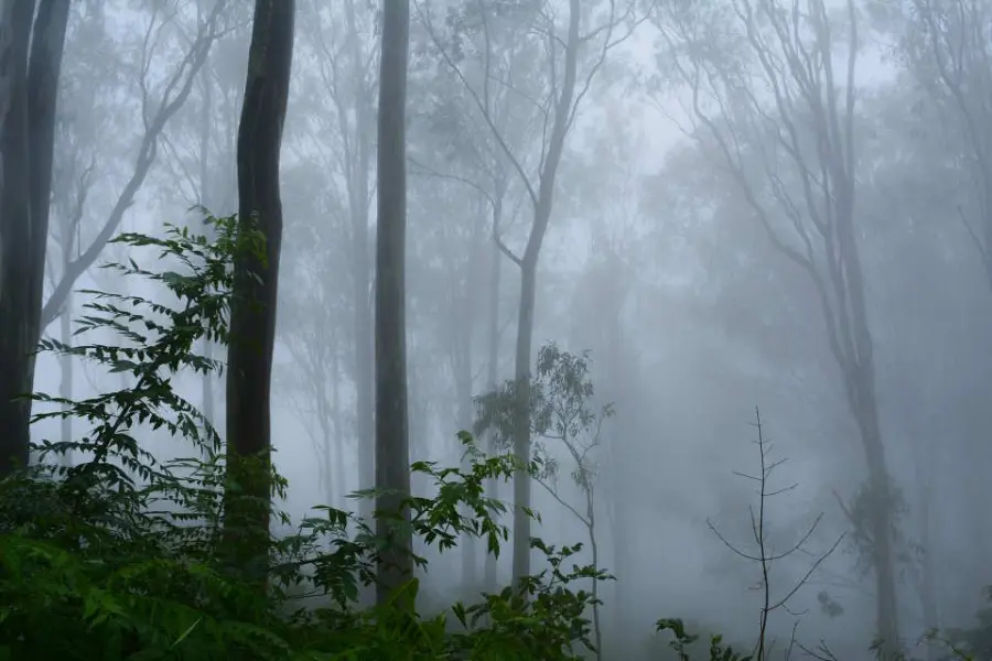 Ultimi libri thriller usciti: i titoli migliori per gli amanti del brivido