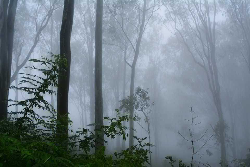 Ultimi libri thriller usciti: i titoli migliori per gli amanti del brivido