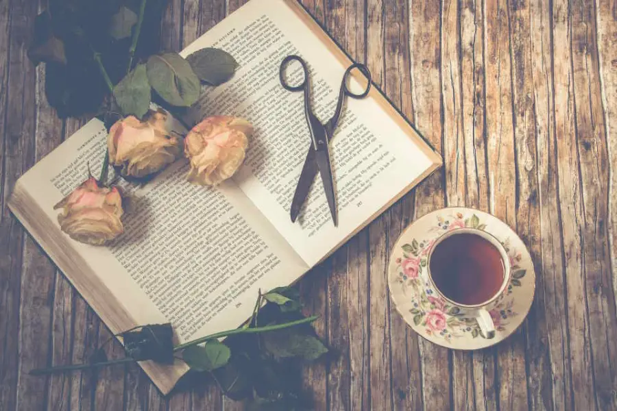 Ultimi libri usciti romanzi rosa: 5 titoli da leggere