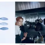 Torino Film Festival il programma della trentacinquesima edizione